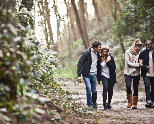 Vind mooie wandelroutes in Nederland met Jilzi