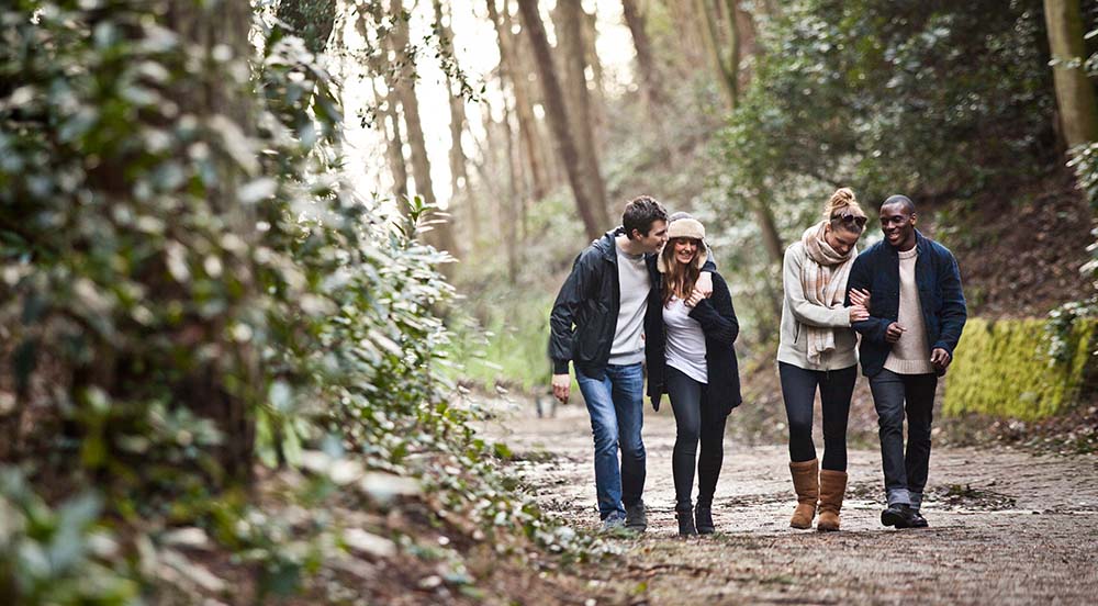 Vind mooie wandelroutes in Nederland met Jilzi