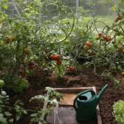 Tuinieren heeft een hoop verschillende gezondheidsvoordelen