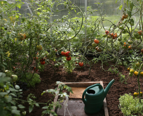 Tuinieren heeft een hoop verschillende gezondheidsvoordelen